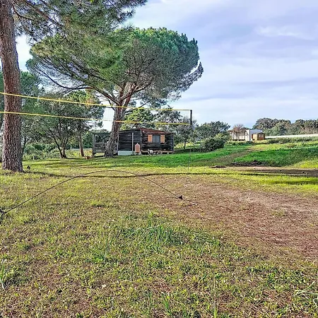Maisonnette Terra Tramandera By Interhome Tatil Evi *