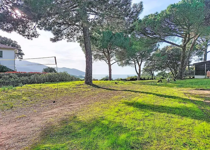 Semesterbostad Maisonnette Terra Tramandera By Interhome Calcatoggio (Corsica)